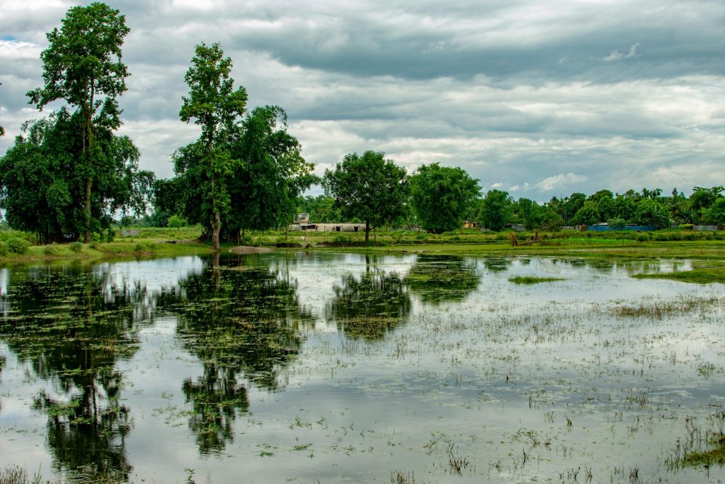 Field flooded by monsoon rains in North Goa. Source: Unsplash