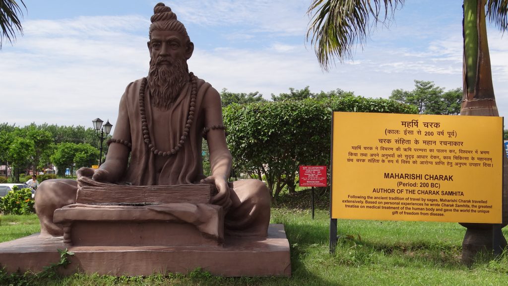 Statue of Maharishi Charaka, in Charkeh, Uttarakhand. Source: Wikipedia