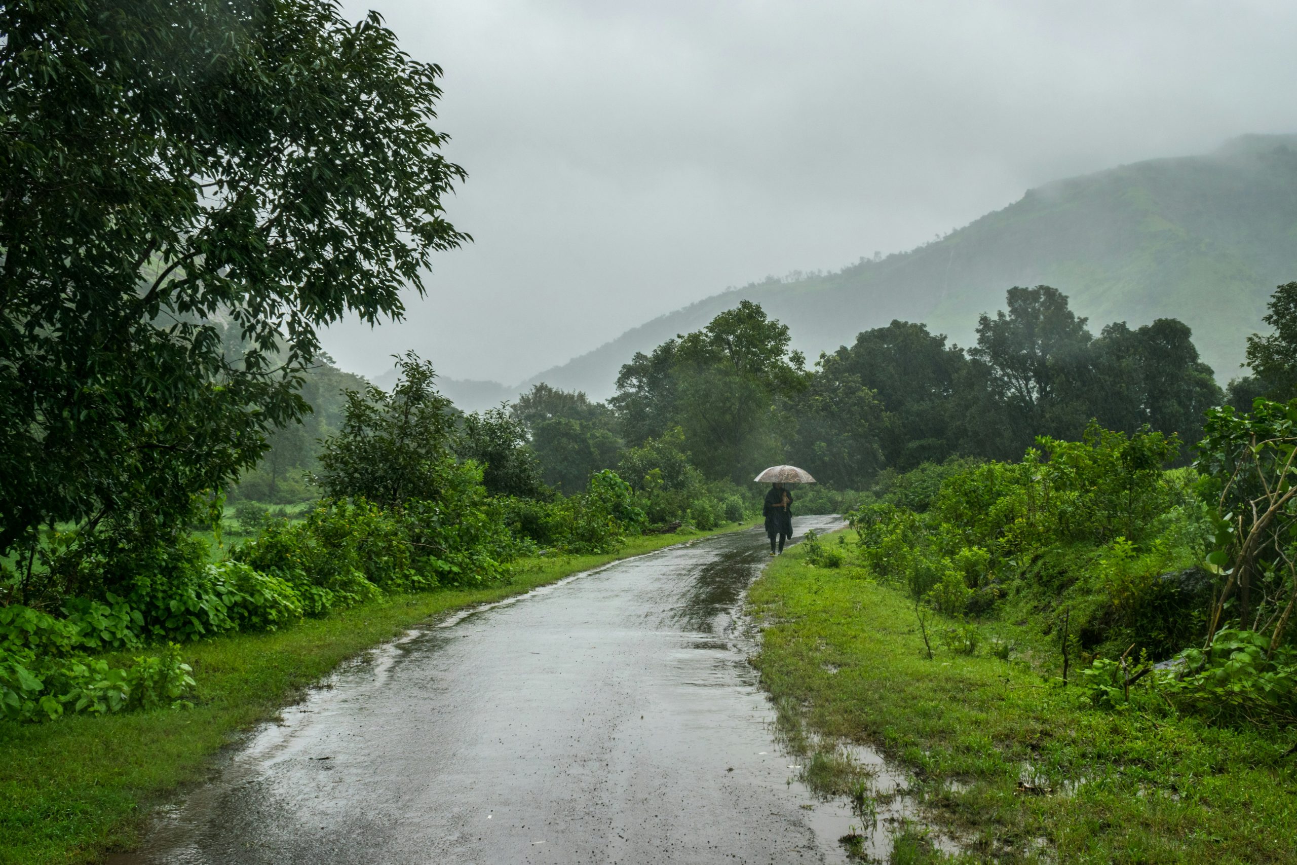 A Local’s Guide to Enjoying the Monsoons in North Goa