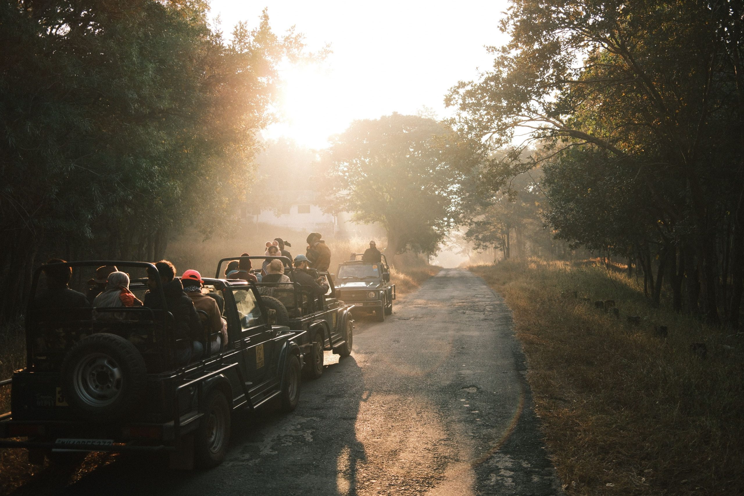 Your Curated Itinerary for Jim Corbett National Park